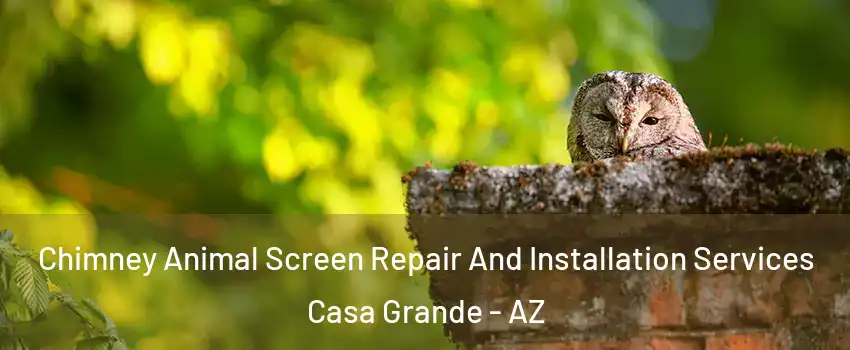  Chimney Animal Screen Repair And Installation Services Casa Grande - AZ