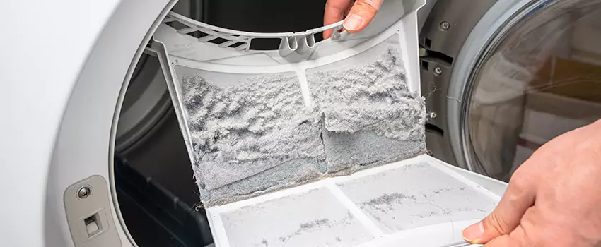 Best Dryer Lint Removal Company in Casa Grande, Arizona