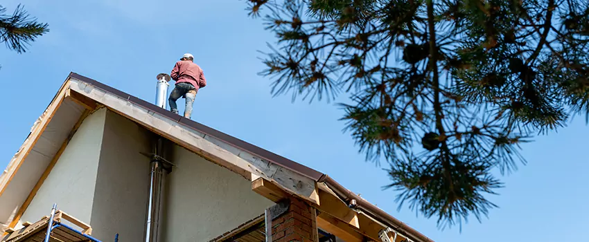 Birds Removal Contractors from Chimney in Casa Grande, AZ
